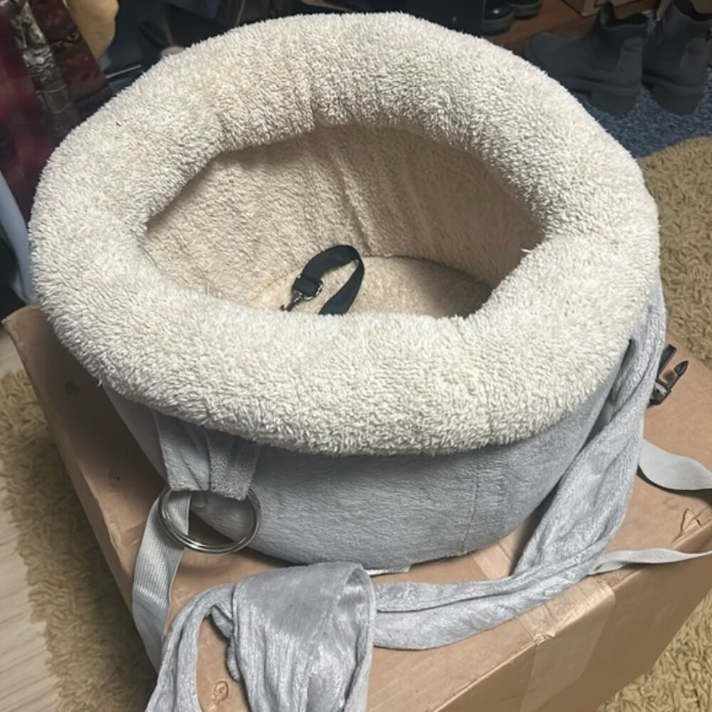 Pet car seat